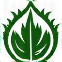 Rainforest Alliance certified